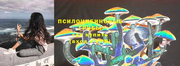 ECSTASY Нея